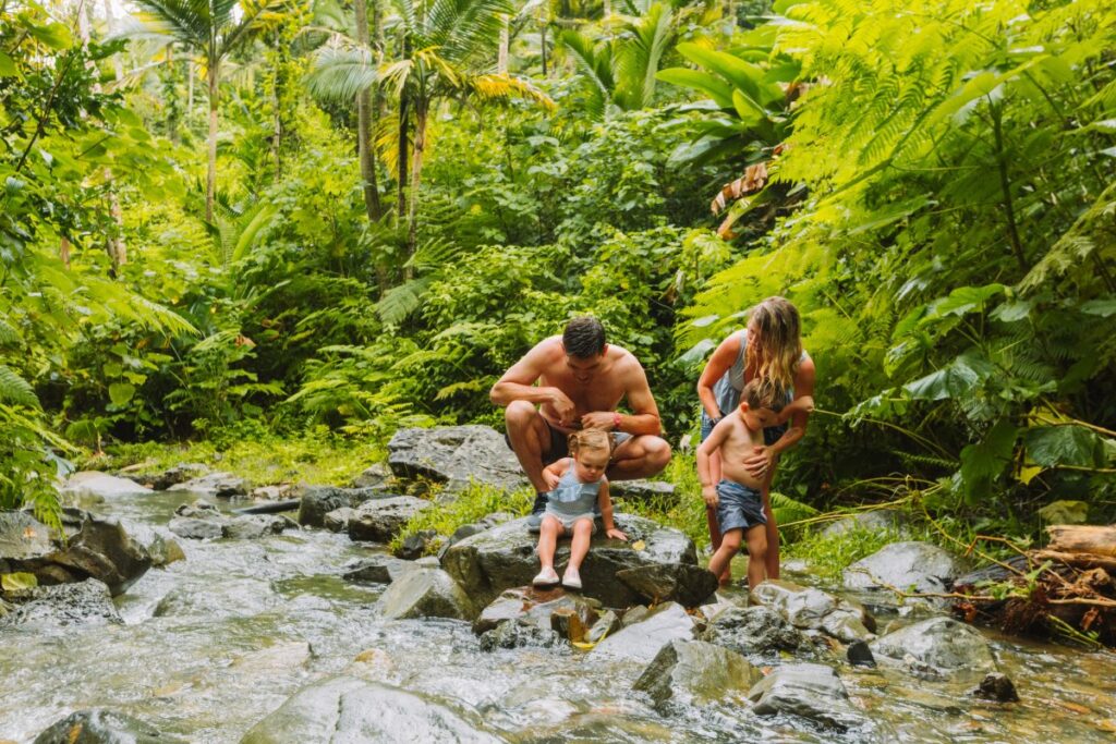 Family hiking through the tropical trails of El Yunque National Forest.