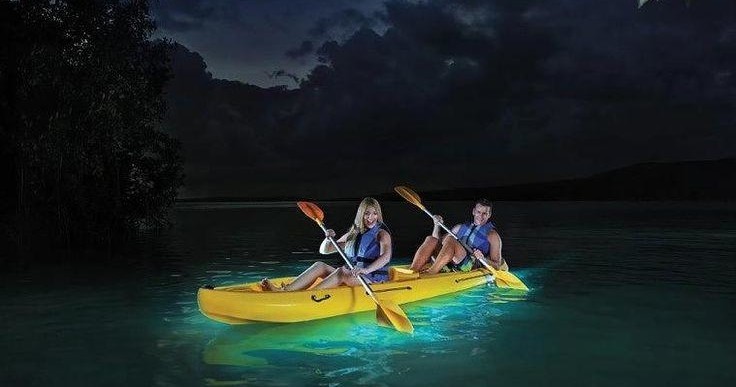 Kayakers surrounded by glowing waters in a bioluminescent bay